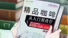 What Are the Ways to Learn About Specialty Coffee? What Is Specialty Coffee? Where Is the Best Place to Learn About Coffee?