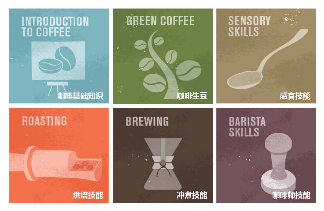 SCA coffee education