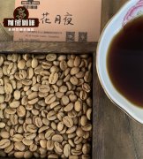 What is Coffee Anaerobic Processing: What's the Difference Between Anaerobic Natural and Anaerobic Washed Coffee