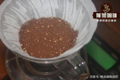 How to Determine Pour-Over Coffee Grind Size? The Relationship Between Grind Size and Roast Level.