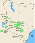 Coffee Origins—How Did Kenyan Coffee Come About, How is Coffee Graded, and Is Kenyan Coffee Delicious