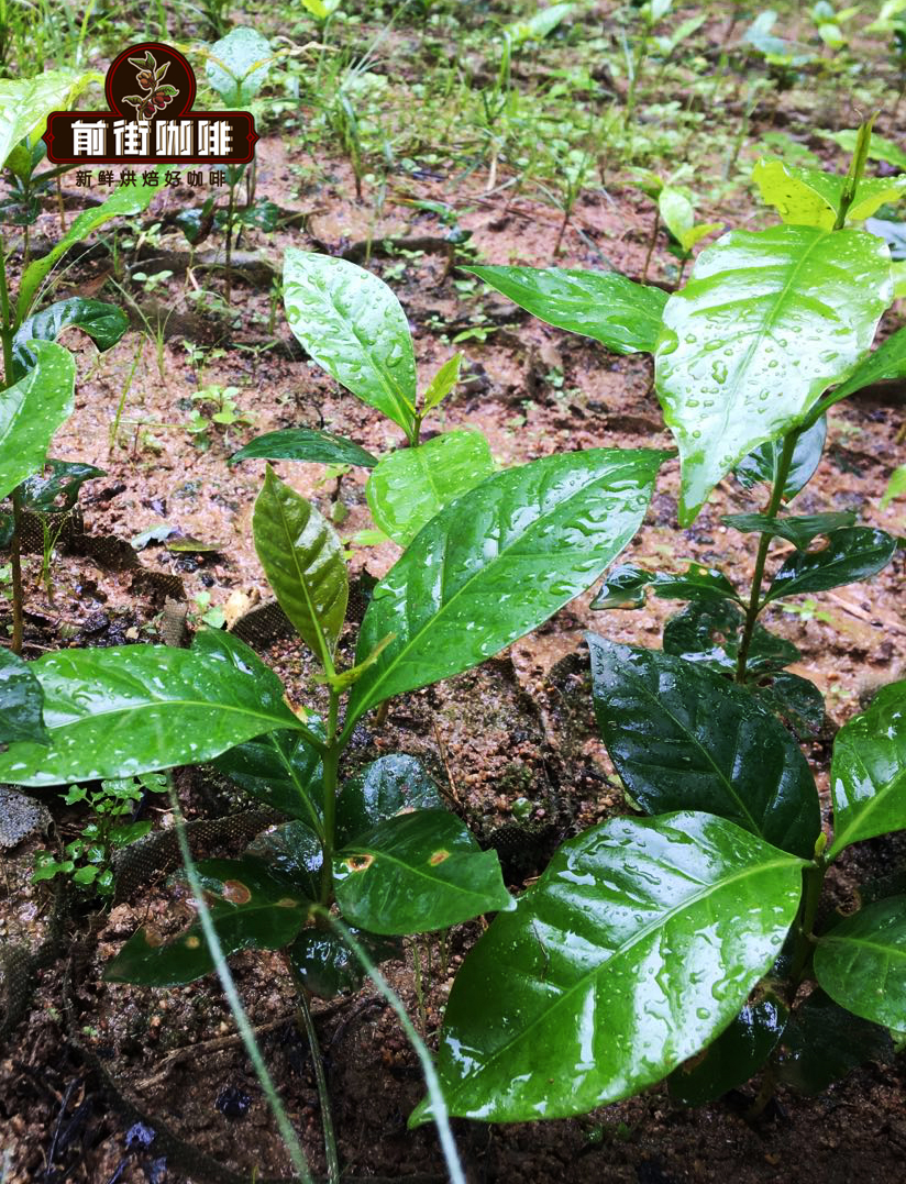 Zhukula Village in Yunnan