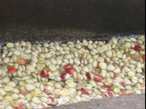 Washed processing facility