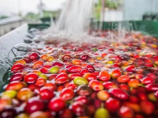 Washed processing method