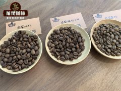 Does Panama Only Grow Geisha Coffee? Is Panama Coffee Suitable for Hang-Ear Coffee?