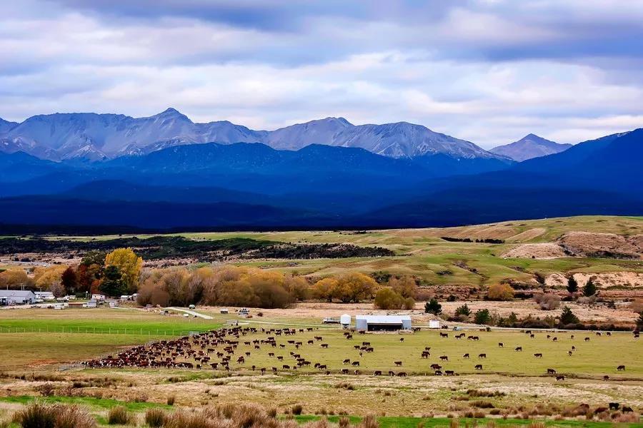 Blue Mountain landscape showing the geographic features