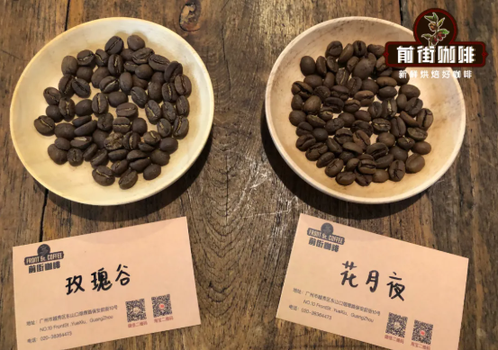 Caturra coffee plant