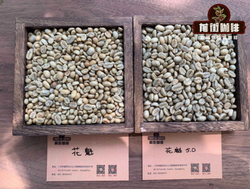 Flower Champion coffee beans