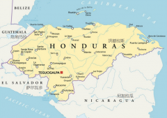 Honduran Coffee Beans: What are the Flavor Differences Between Sherry Cask Coffee Beans and Lychee Orchid Coffee Beans