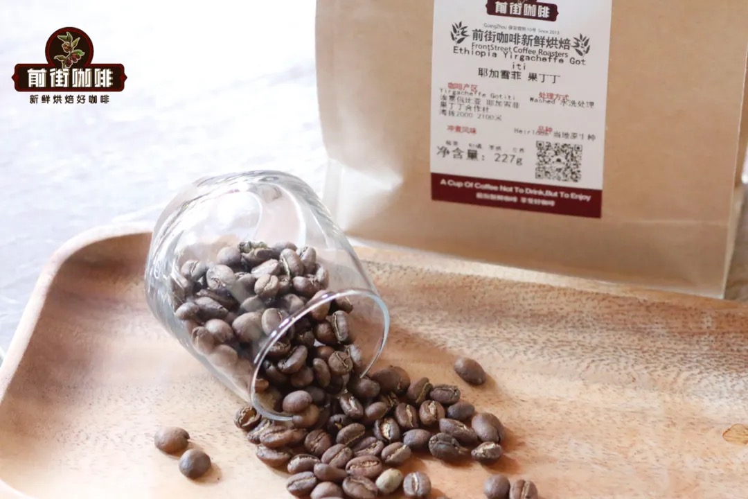 Yirgacheffe Region Grade Introduction - What Class Level is It? Difference in Flavor Characteristics Between Yirgacheffe and Guji Coffee Beans